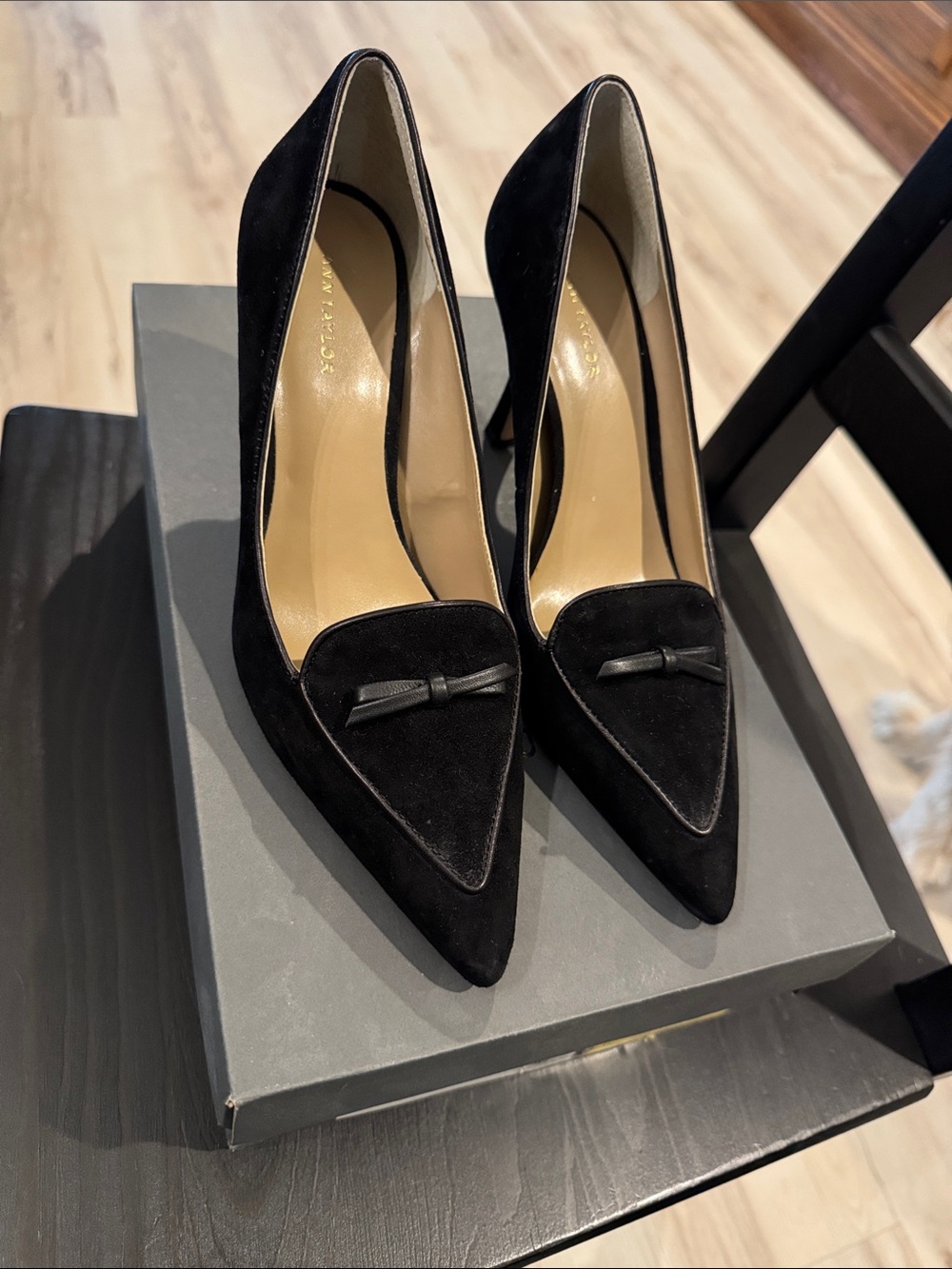 Ann Taylor Black Suede Pointed-Toe Pumps with Bow Accent